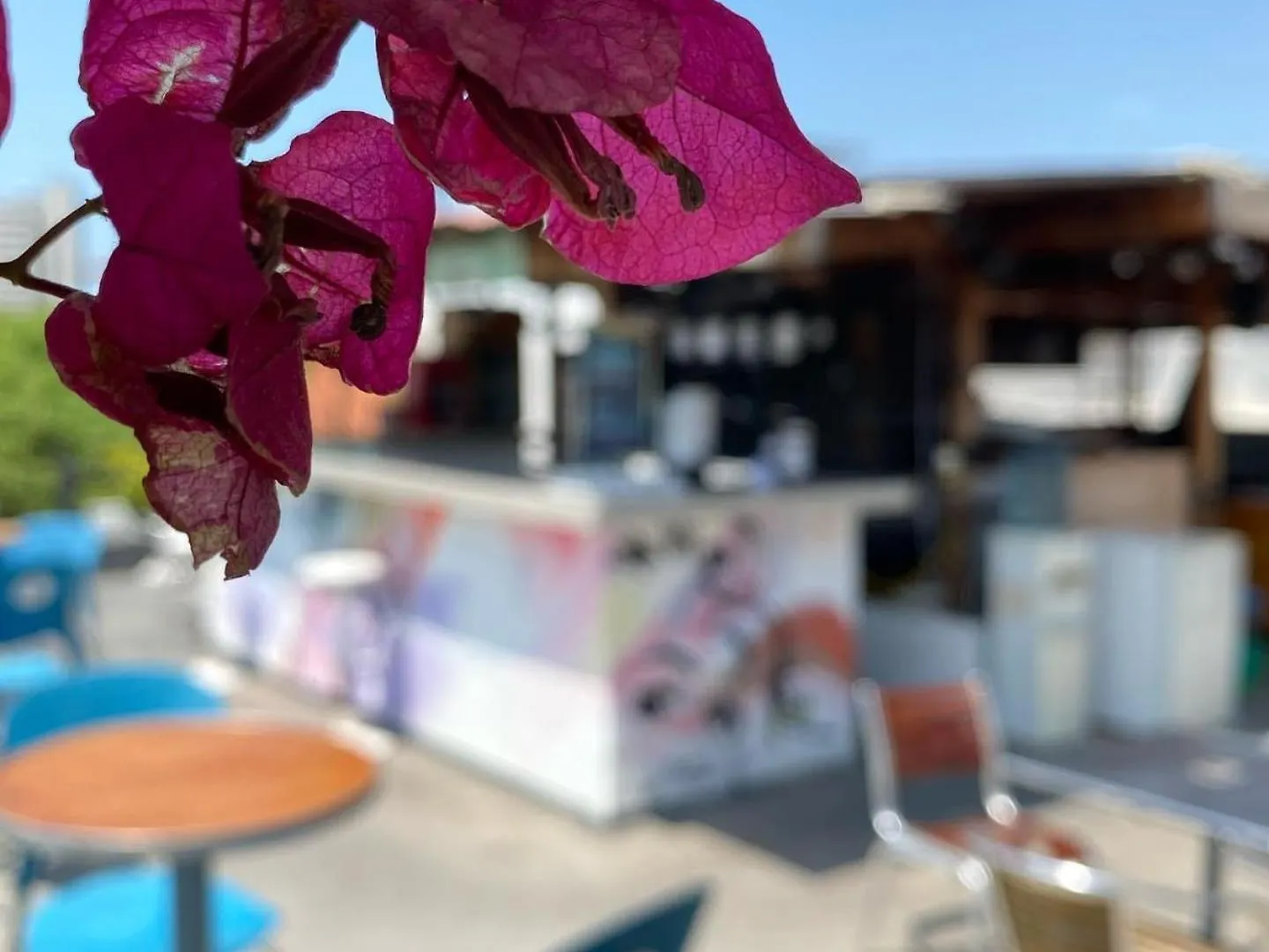 La Viduka Hostel Cartagena