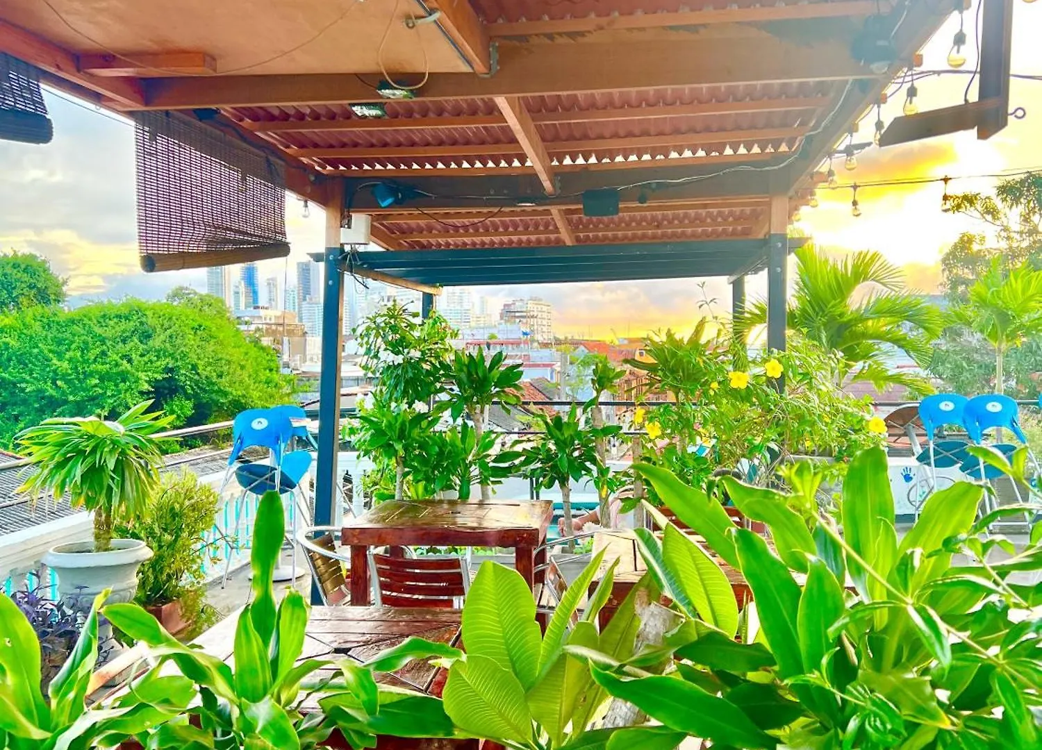 La Viduka Hostel Cartagena Colombia