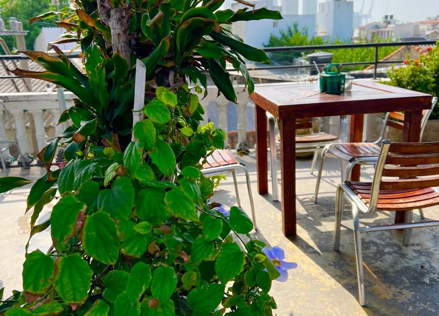 La Viduka Hostel Cartagena